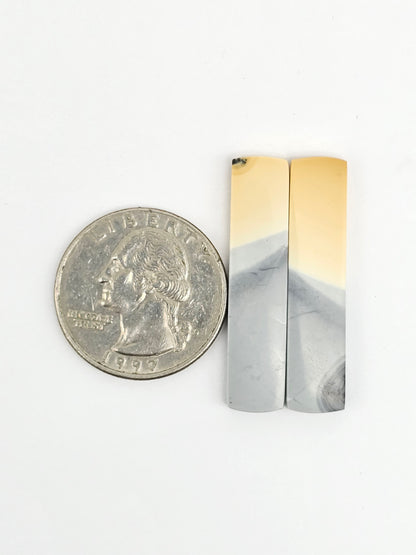 Maligano Jasper Cabochon Pair