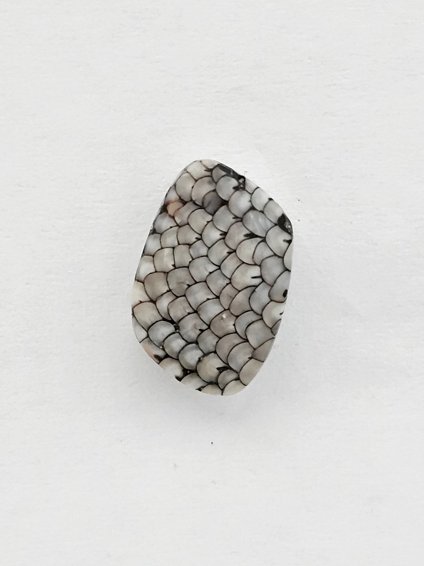 Snake skin agate cabochon