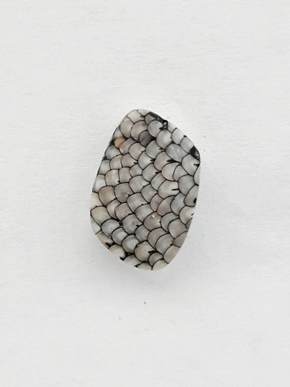 Snake skin agate cabochon