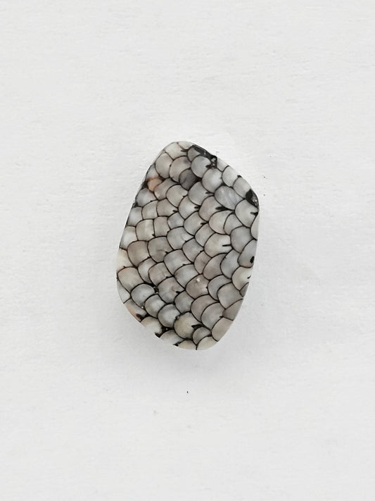 Snake skin agate cabochon