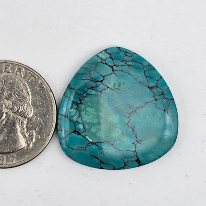 Cloud Mountain Turquoise Cabochon Large