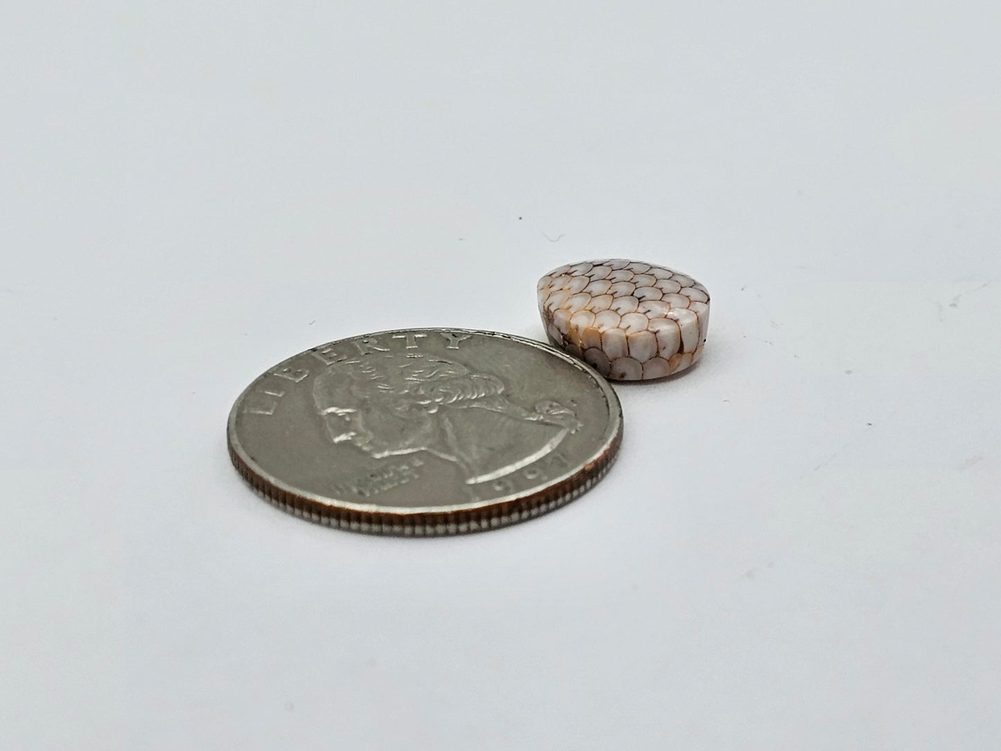 Snake skin agate cabochon