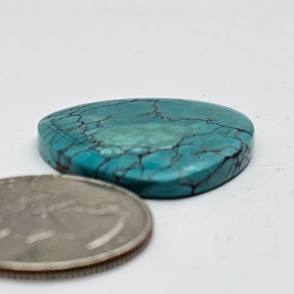 Cloud Mountain Turquoise Cabochon Large