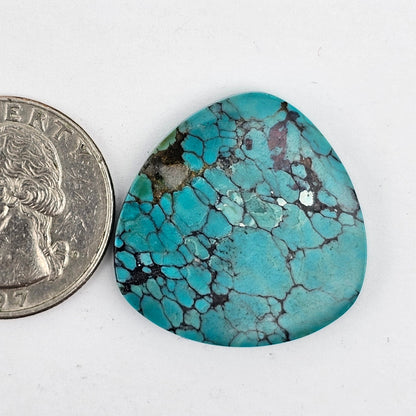 Cloud Mountain Turquoise Cabochon Large