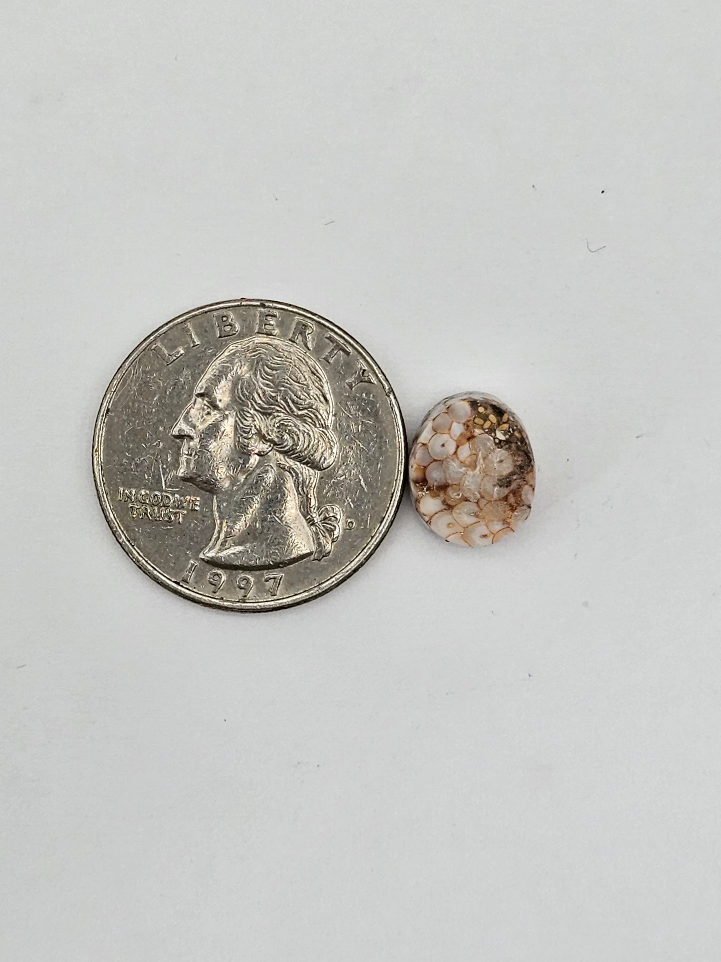 Snake skin agate cabochon