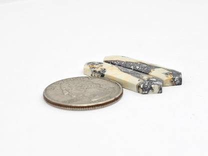 Maligano Jasper Cabochon Pair