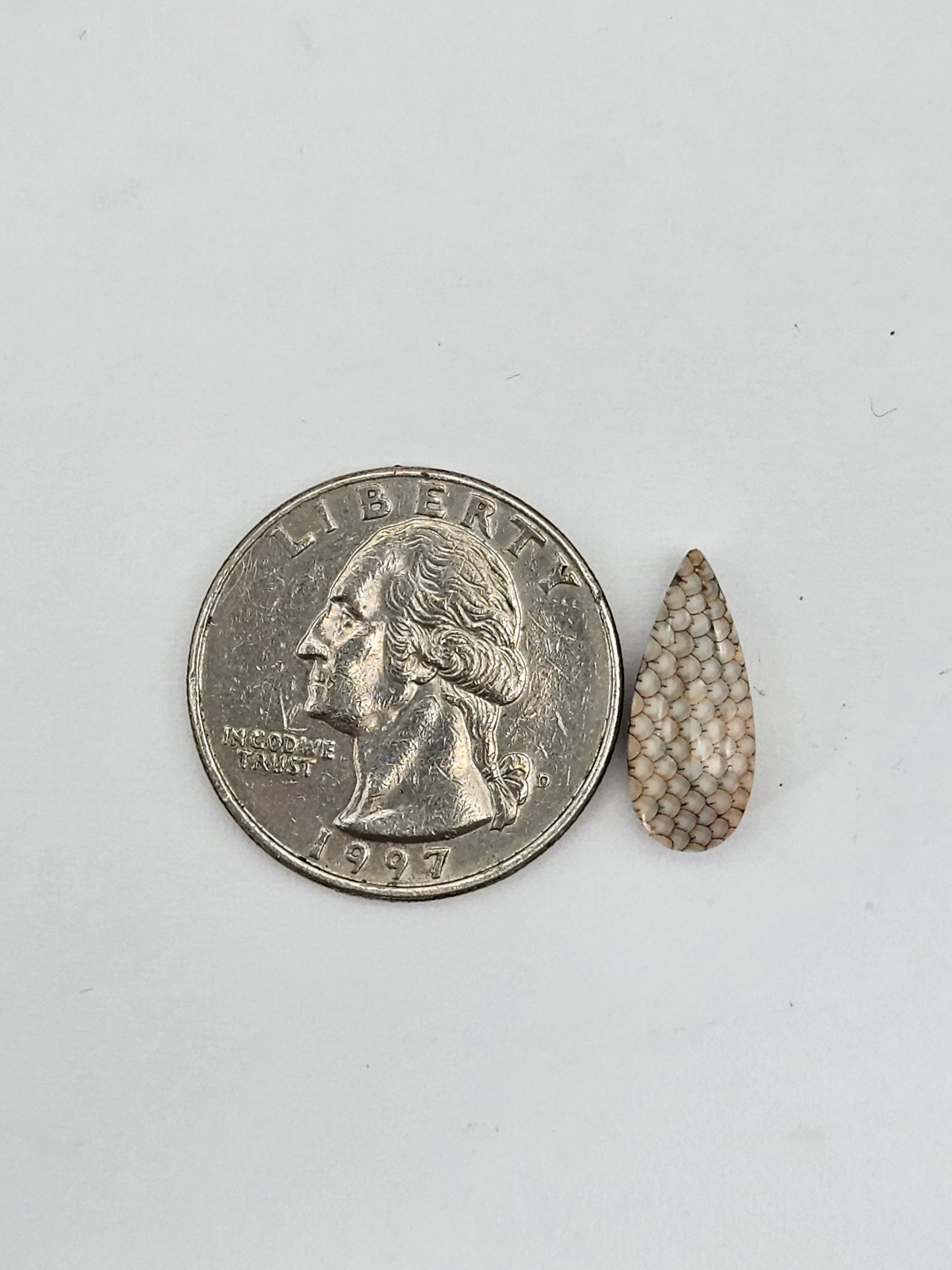 Snake skin agate cabochon