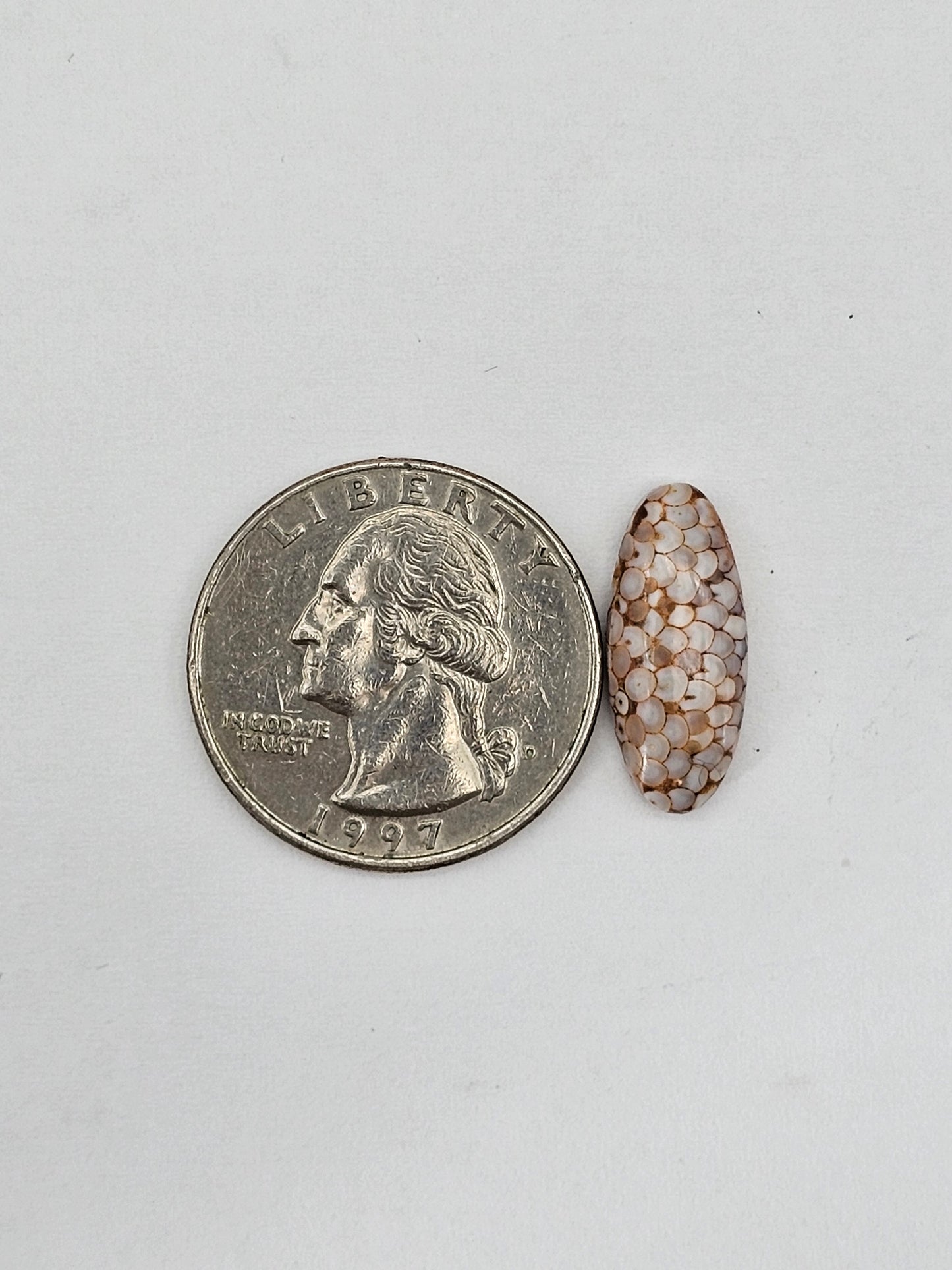 Snake skin agate cabochon