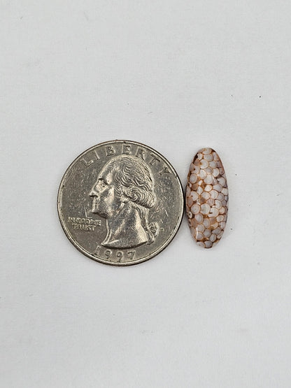Snake skin agate cabochon