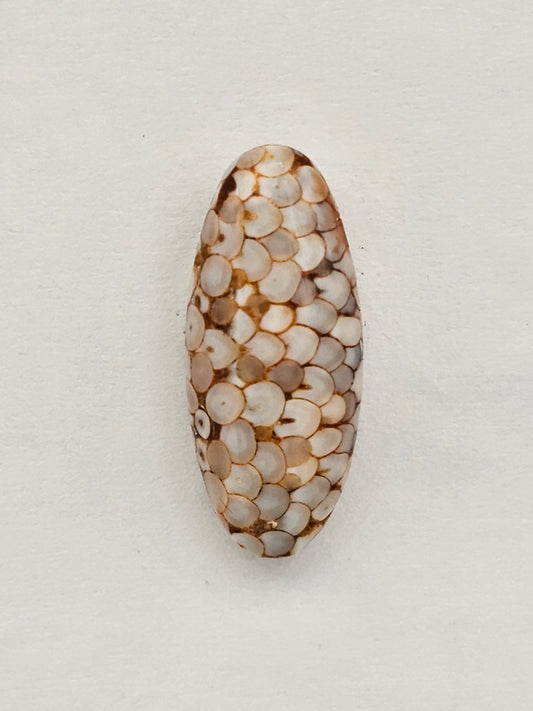 Snake skin agate cabochon
