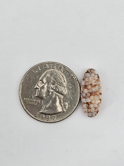 Snake skin agate cabochon