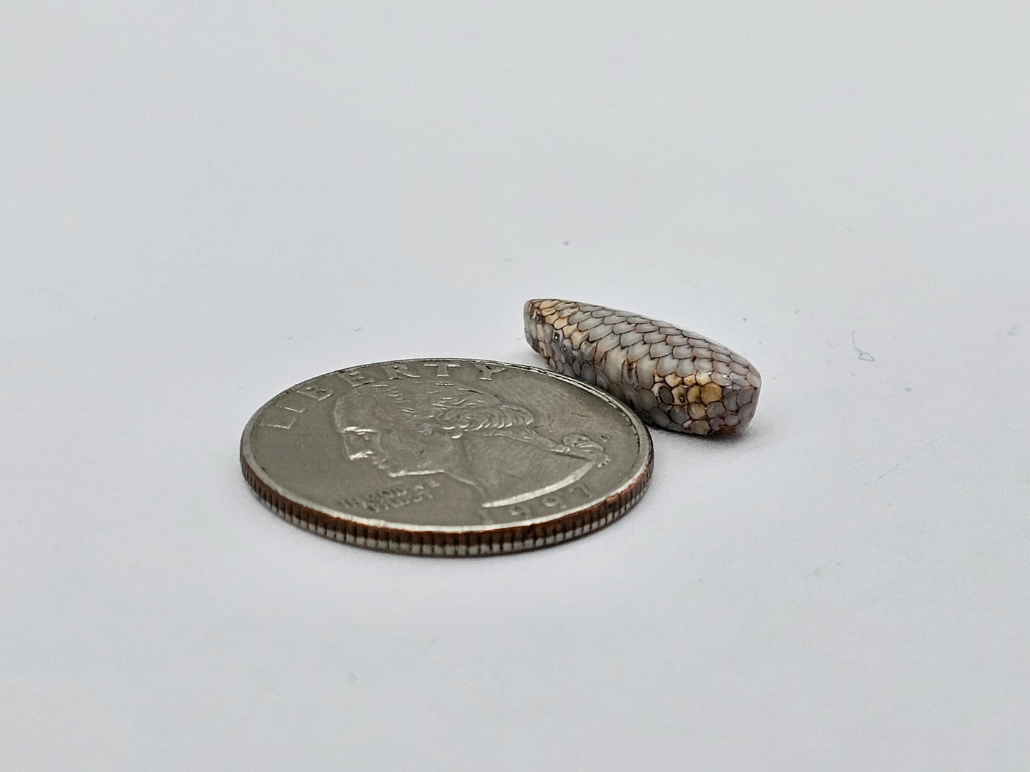 Snake skin agate cabochon