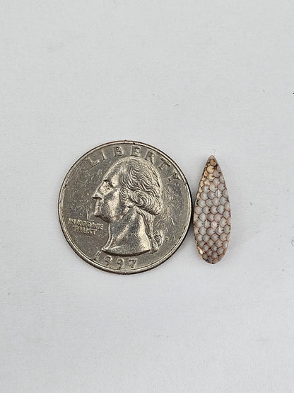 Snake skin agate cabochon
