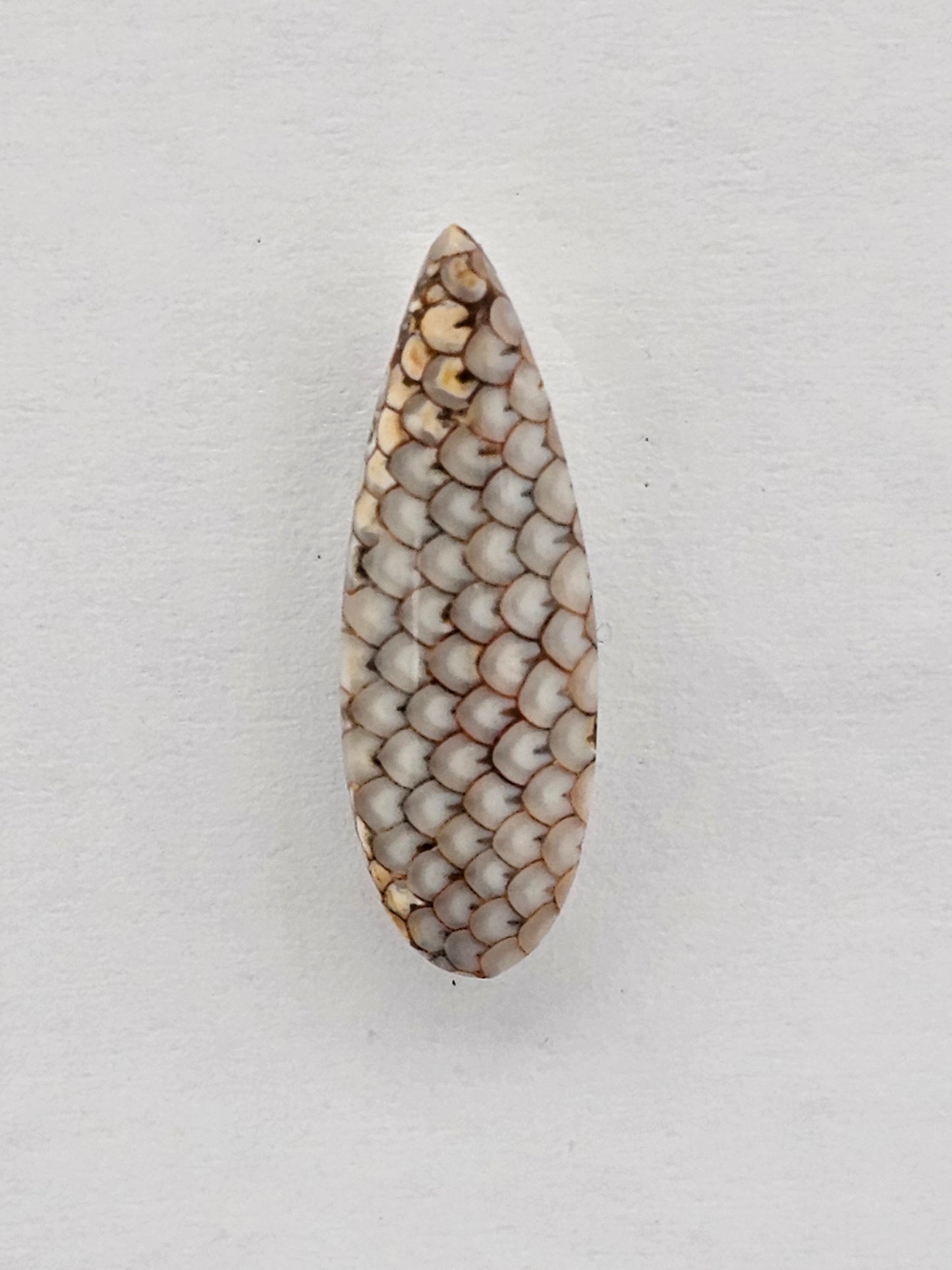 Snake skin agate cabochon