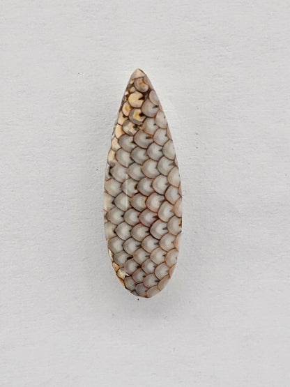 Snake skin agate cabochon