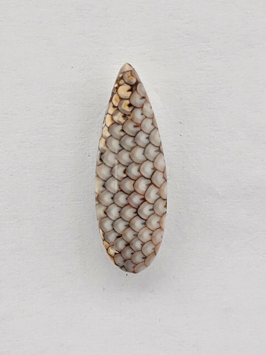 Snake skin agate cabochon