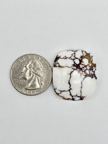 Magnesite Cabochon