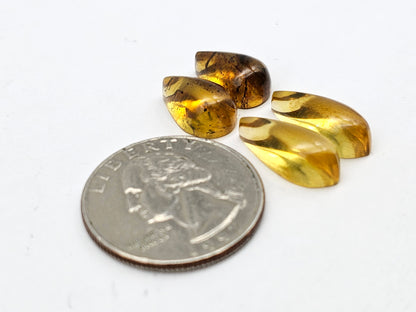 Amber authentic cabochon pair lot