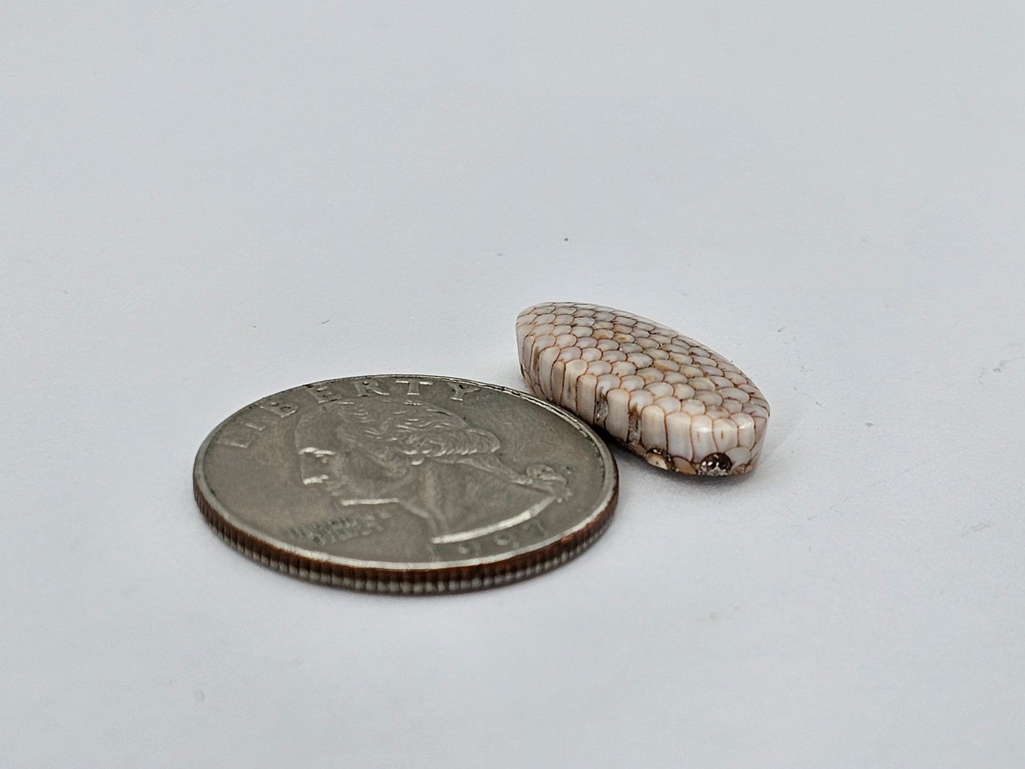 Snake agate cabochon large