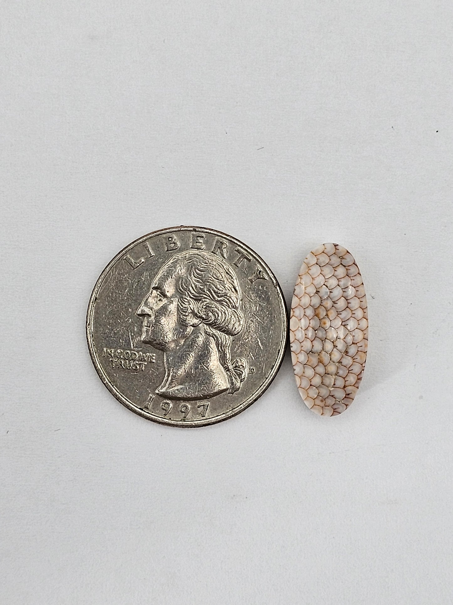 Snake agate cabochon large