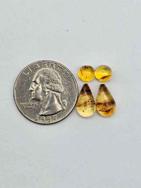 Amber authentic cabochon pair lot