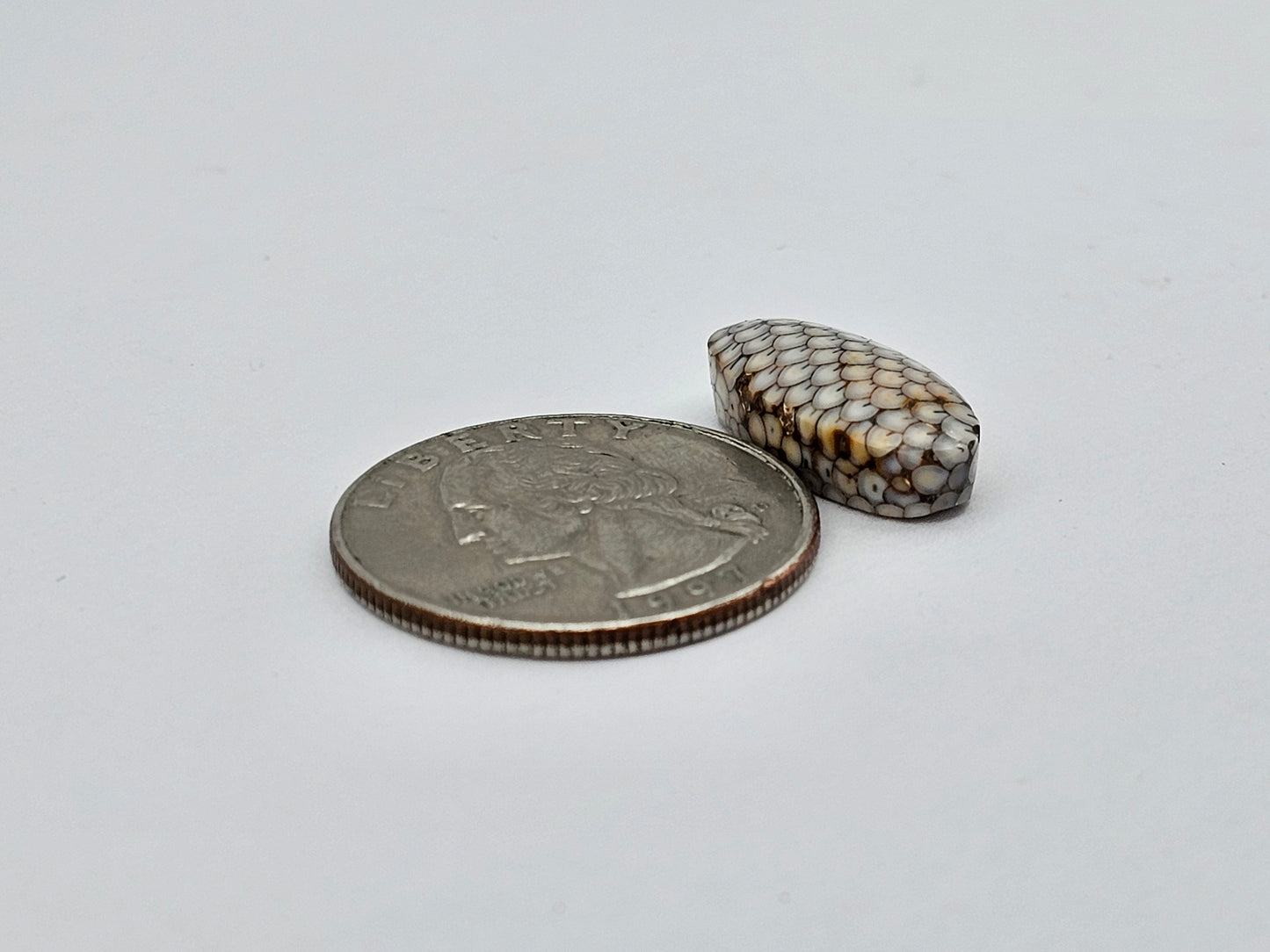 Snake skin agate cabochon
