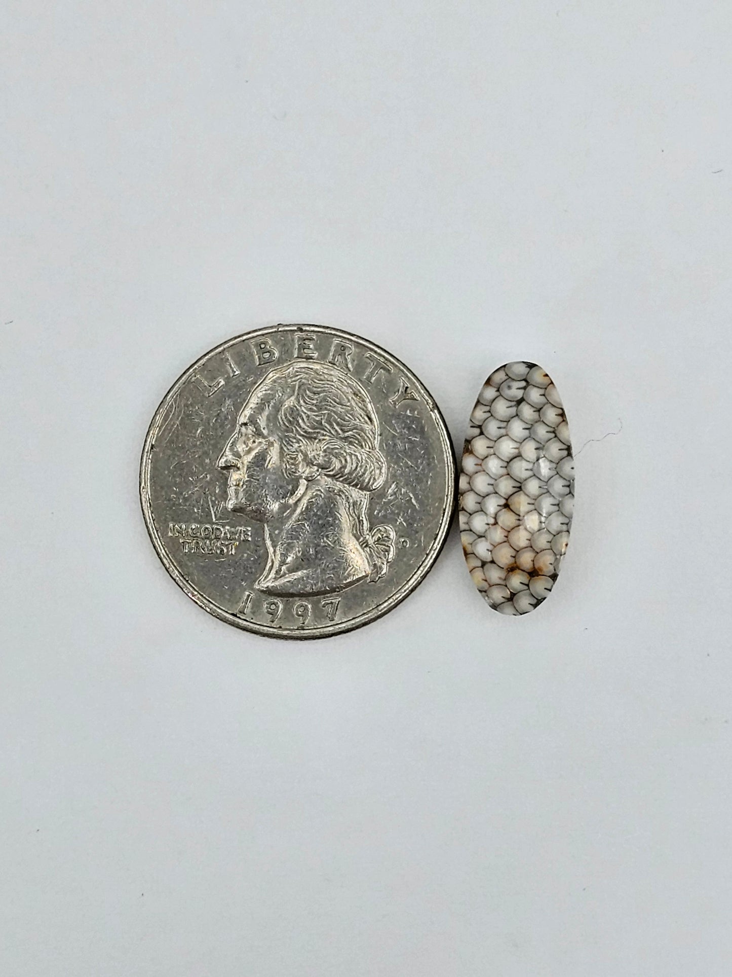 Snake skin agate cabochon