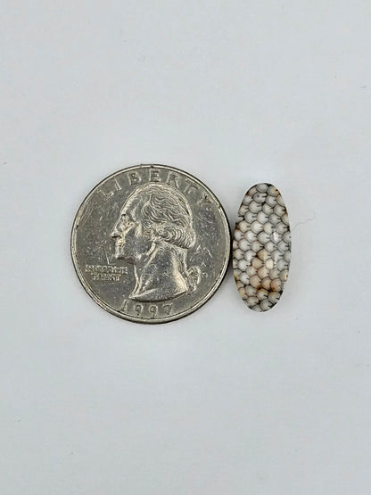 Snake skin agate cabochon