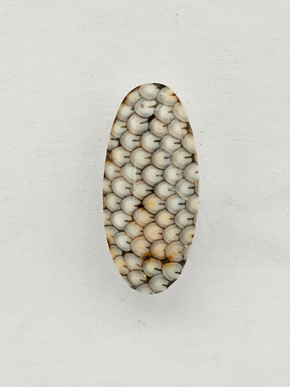 Snake skin agate cabochon