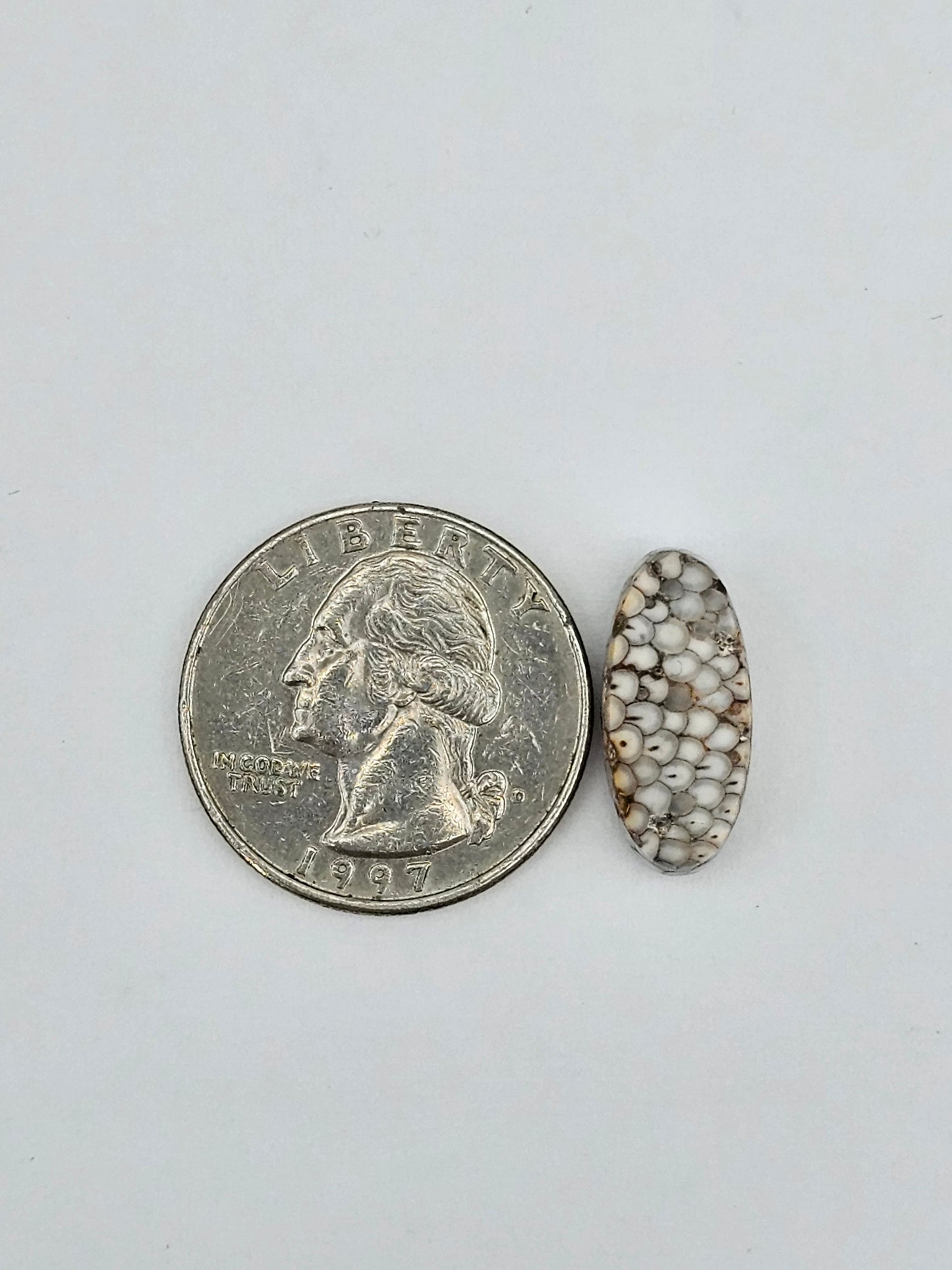 Snake skin agate cabochon