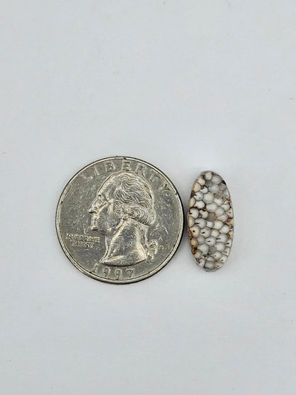 Snake skin agate cabochon