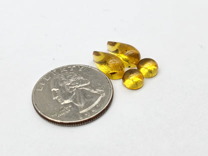 Amber authentic cabochon pair lot