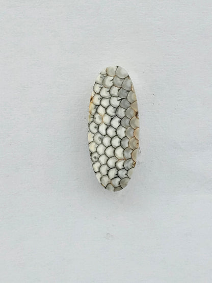 Snake skin agate cabochon
