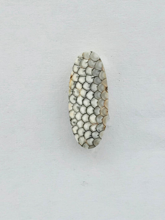 Snake skin agate cabochon