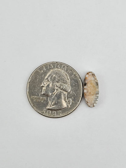 Snake skin agate cabochon