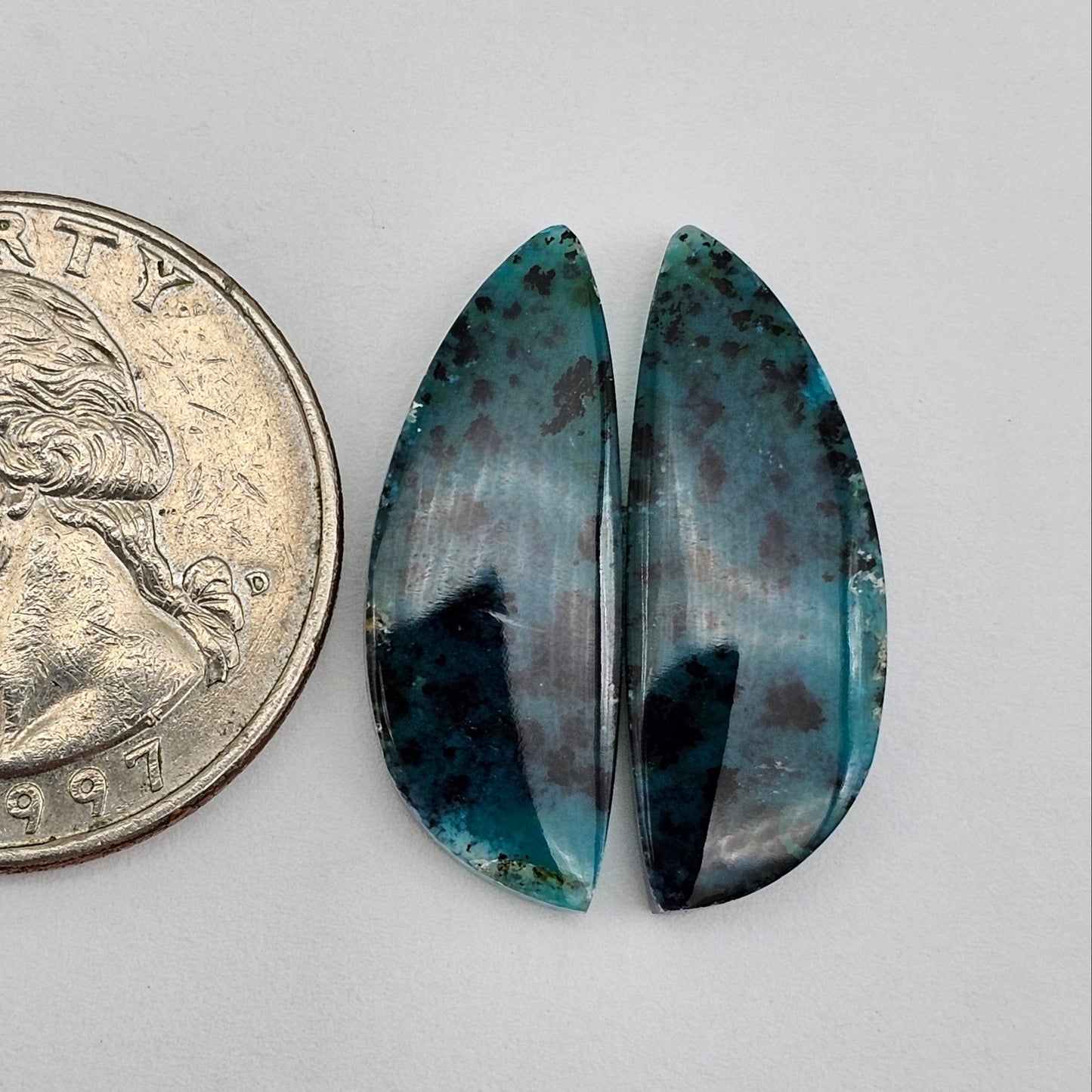 Blue opalized wood Cabochon Pair