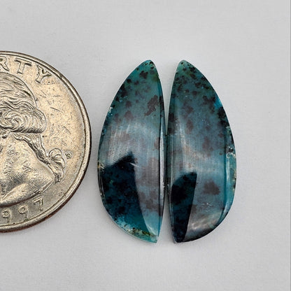 Blue opalized wood Cabochon Pair