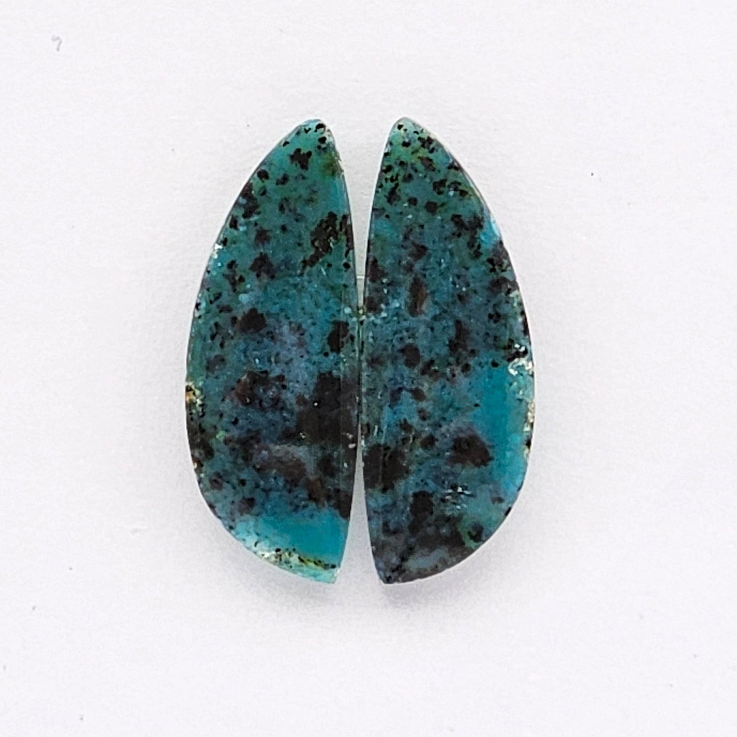 Blue opalized wood Cabochon Pair