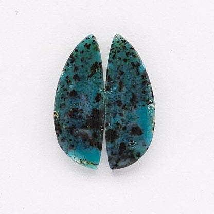 Blue opalized wood Cabochon Pair