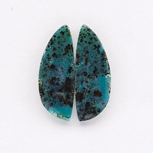 Blue opalized wood Cabochon Pair