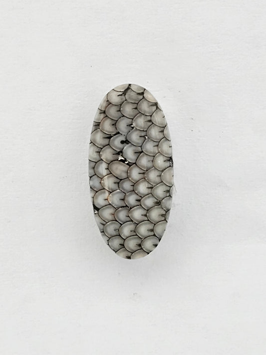 Snake skin agate cabochon