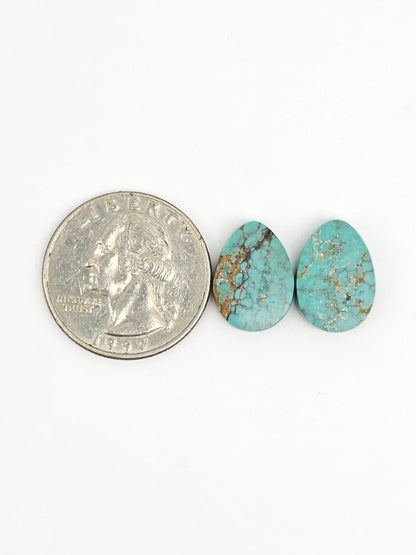 Cloud Mountain Turquoise Pair