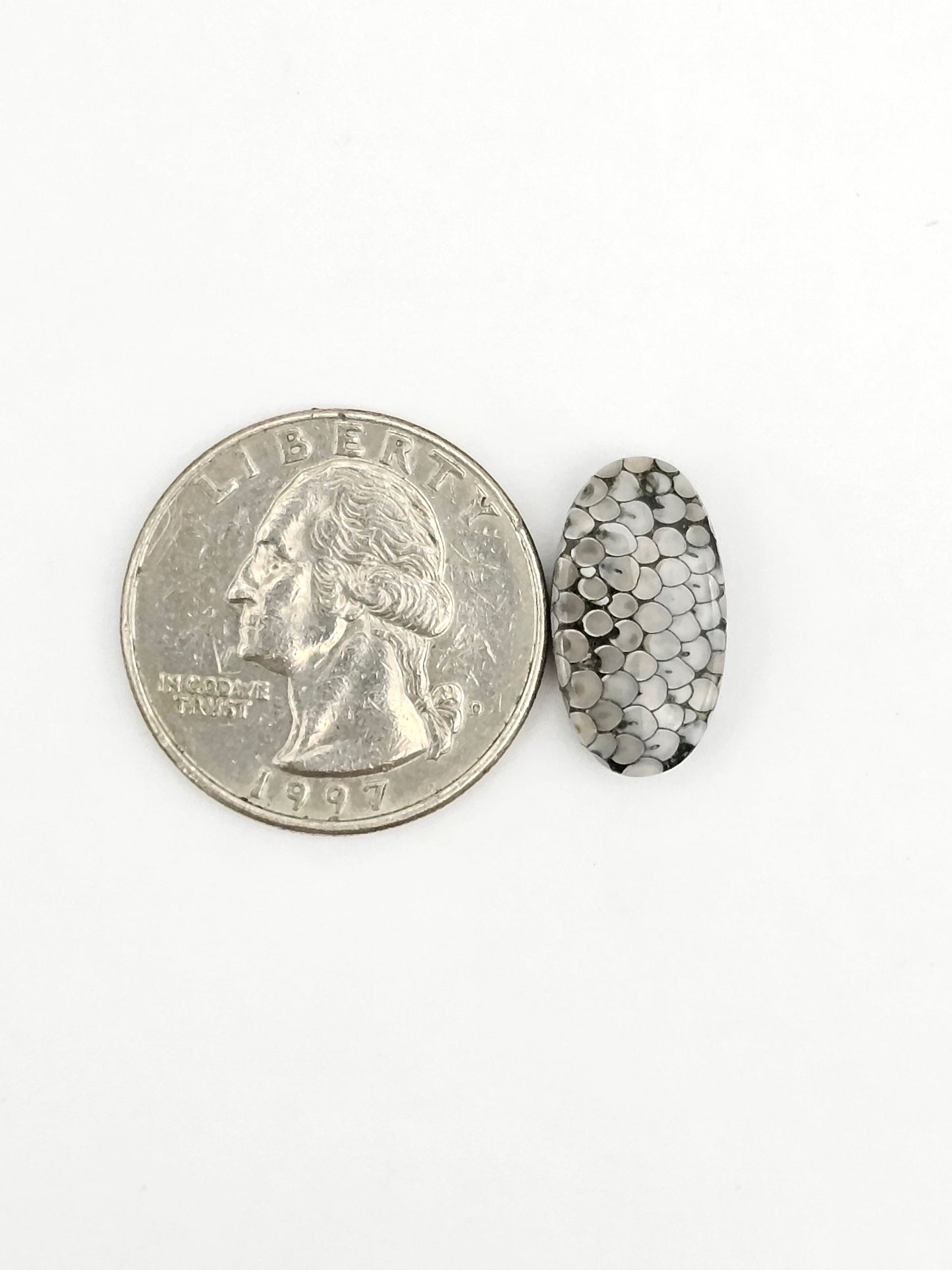 Snake skin agate cabochon
