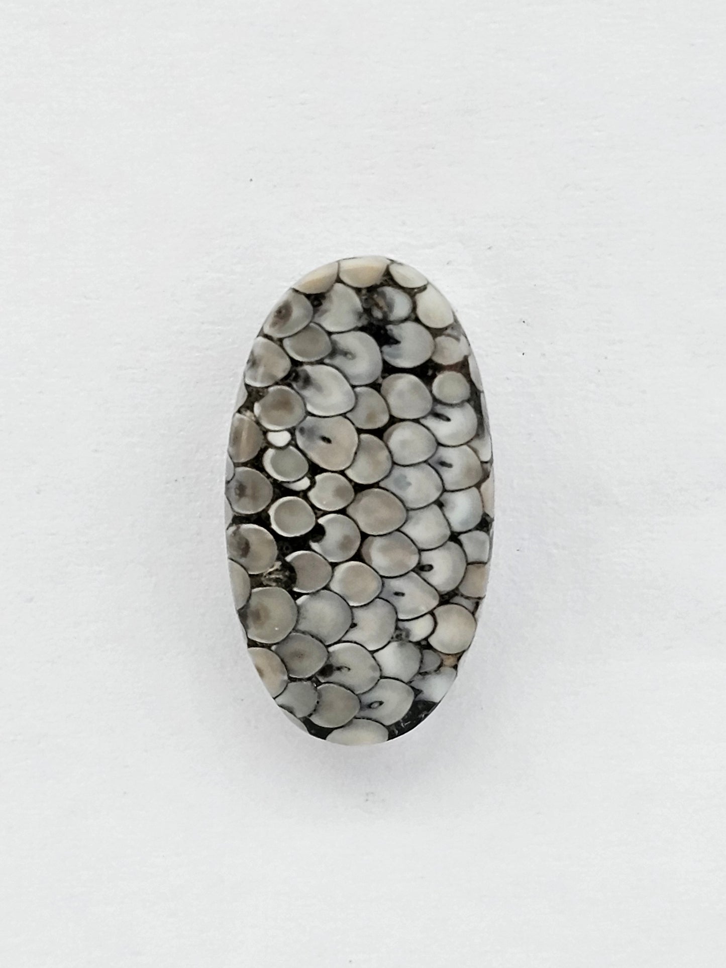 Snake skin agate cabochon
