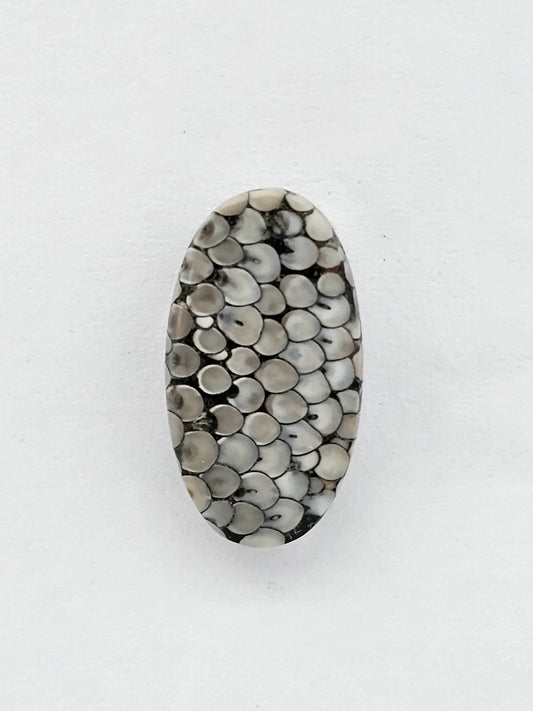 Snake skin agate cabochon
