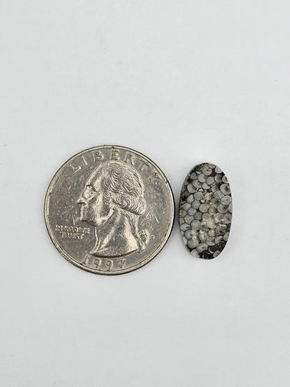 Snake skin agate cabochon
