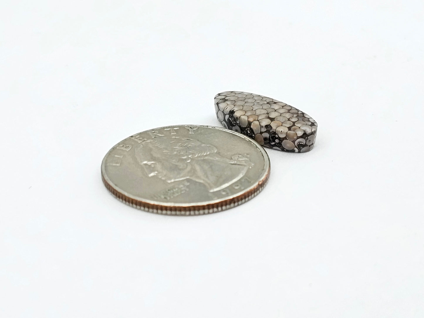 Snake skin agate cabochon