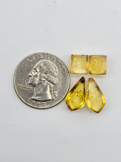 Amber authentic cabochon pair lot