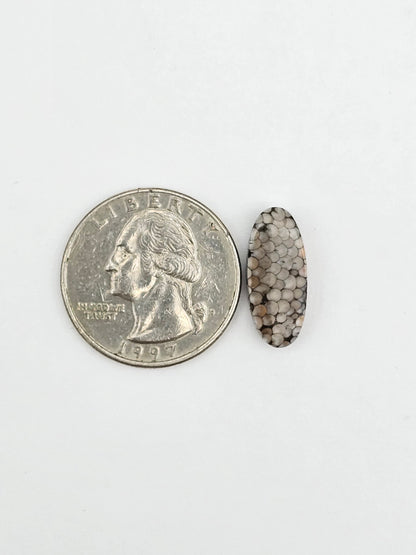 Snake skin agate cabochon