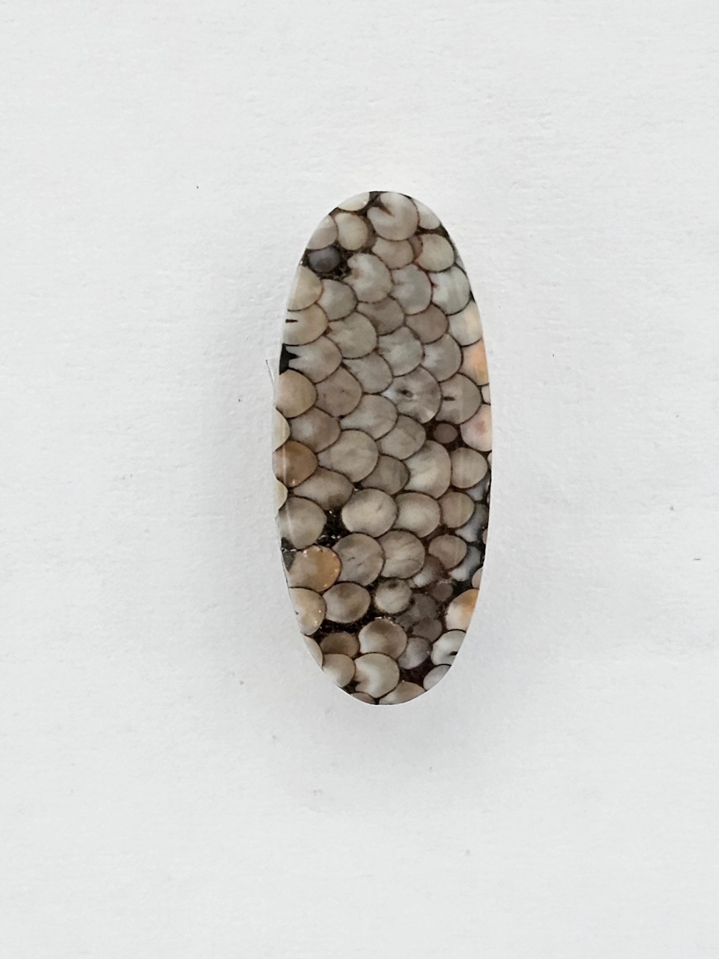Snake skin agate cabochon